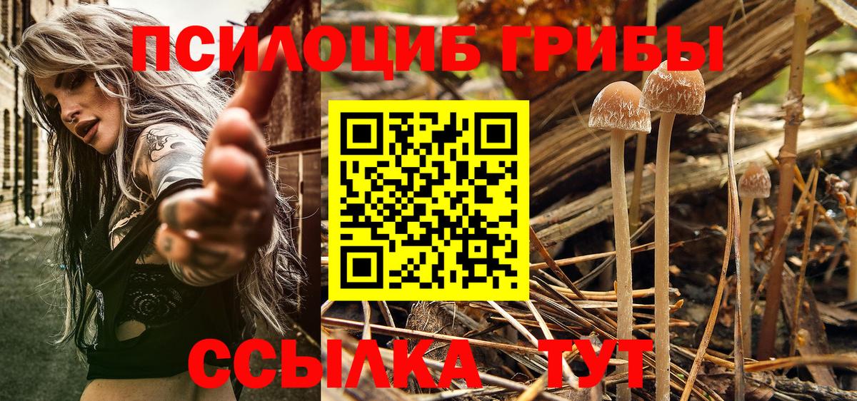 Галлюциногенные грибы мухоморы Лабытнанги
