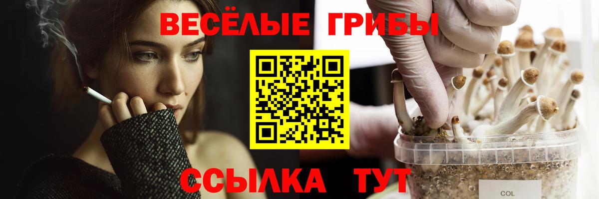 Лабытнанги  Псилоцибиновые грибы MAGIC MUSHROOMS  Вход с VPN 